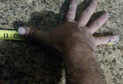 Hands-20170126_222030a.jpg