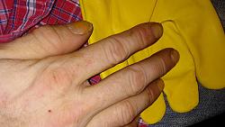 Hands-20170620_023935.jpg
