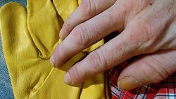 Hands-20170620_024024.jpg