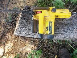 Help me choose a chainsaw-20180910_111526.jpgaa.jpg