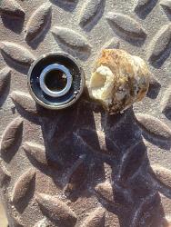 How to Remove Blind Bearings with a wet Paper Towel-img_5577.jpg