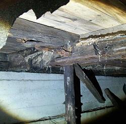 I am engaged in repair of a small old country house.-3.jpg