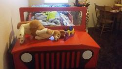 Jeep Bed-20170306_070802.jpg