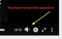 Name:  Sound ON.png
Views: 159
Size:  17.8 KB