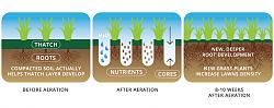 Lawn aerator - video-core-aeration.jpeg