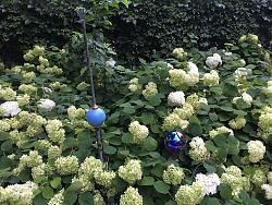 Click image for larger version.&nbsp;

Name:	IMG_1833 - Copy.jpg&nbsp;
Views:	261&nbsp;
Size:	522.3 KB&nbsp;
ID:	12138