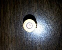 Magazine speed loader - GIF-303_2_30yds.jpg