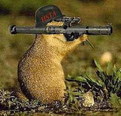 Making USB Cables Behave-squirrel_bazooka.jpg