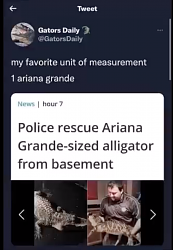 Metric vs. other measurement systems - chart-ariana-grande.png