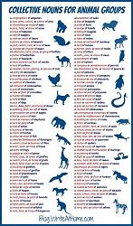 Metric vs. other measurement systems - chart-troop-gang-buffalo-flutter-butterflies-wake-buzzards-troop-cartioad-monkeys-herd-moose-ba.jpeg