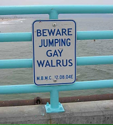 Millennial anti-theft device-gay_walrus.png