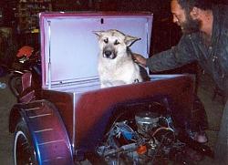 Motorcycle/camper hybrid - photo-scan0074.jpg