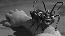 Murder hornet suit - photo-zanti-misfits.jpg