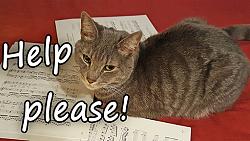 Click image for larger version.&nbsp;

Name:	20160816_222913_Ash_Help_512.jpg&nbsp;
Views:	205&nbsp;
Size:	174.3 KB&nbsp;
ID:	31780