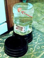 Not one bit of a tool; unless easing a chore counts?-bottle_2mp.jpg