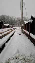 Outdoor work area + driveway roof with hoist-2020-12-23_street_view-2.jpg