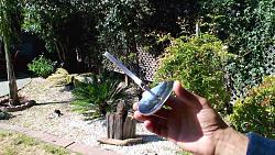 Parabolic solar cooker - GIF-maxresdefault.jpg
