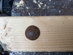 Polly: a tool to remove carriage bolts.-dc8a8de1-60d8-4c5e-9235-0db2a47b1f96.jpg