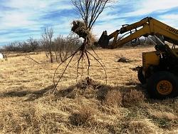 Root remover heavy equipment attachment - GIF-20190121_125355.jpgaaa.jpg