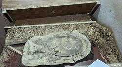 Router Sled Planer [FREE PLANS]-wood-slab-after.jpg