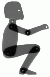Scaled 1:10 Human model-fred_all.gif