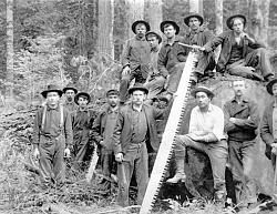 Simple chainsaw - video-manual-crosscut1.jpg