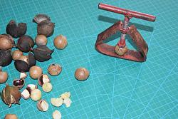 SMALL ITEM VICE & NUTCRACKER-rsz_dsc_1742.jpg