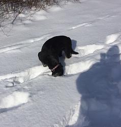Snow Fun-carly-1.jpg