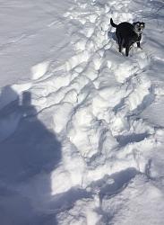 Snow Fun-carly-2.jpg
