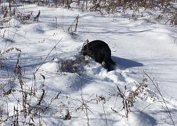 Snow Fun-carly-3.jpg