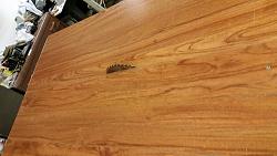 Click image for larger version.&nbsp;

Name:	4 Start table saw and raise blade to max.jpg&nbsp;
Views:	588&nbsp;
Size:	471.8 KB&nbsp;
ID:	6498