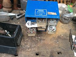 Thread Identifier Caddy-89c1afc8-8cd5-4d06-a01b-aaf462a1b4a6.jpg
