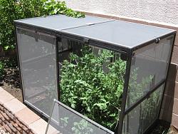 Tomato Hut ~ Wild Chipmunk & Bunny Protection-tomato-hut-front-door.jpg