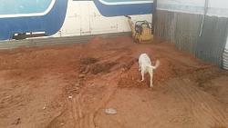 Took the first step towards building my shop-20201021_185051ewt.jpg