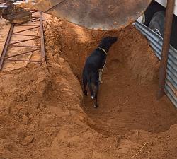 Took the first step towards building my shop-wp_20200626_19_10_24_prolt.jpg