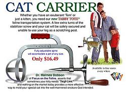 Tool quiz-cat-carrier.jpg