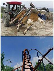 Tractor cattle rotator - photo-kx4ae0m.jpg
