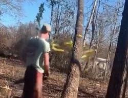 Tree felling strap accident - GIF-3-tenths-second-later.jpg