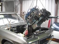 TruckBuilds.net: Holden WB One Tonner by WBTUNNA-holdenonetonner4.jpg