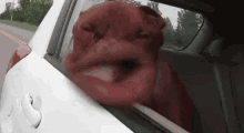 Name:  tenor.gif
Views: 1512
Size:  44.6 KB