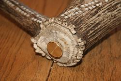 Unique Cribbage Board-altercribbd2.jpg