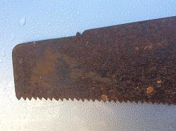 Unusual saw-img_0390.jpg