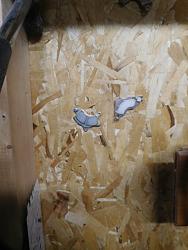 Uses for Magnets-garage-chisel-magnets.jpg
