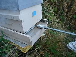 Click image for larger version.&nbsp;

Name:	small hive shot.JPG&nbsp;
Views:	412&nbsp;
Size:	150.5 KB&nbsp;
ID:	4166