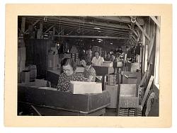 Vintage work crew photos-muskgrave_pencil_company_wwii.jpg