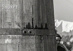 Vintage work crew photos-screen-shot-2019-08-16-8.44.27-am.png