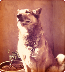 Vintage work crew photos-smokey.png