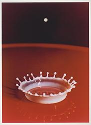 Water droplet kinetic sculpture - GIF-milk-coronet.jpg