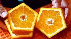 what about square gears?-pent-up-slice.jpg