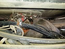 Click image for larger version.
Name: a2.jpg
Views: 236
Size: 251.8 KB
ID: 22861